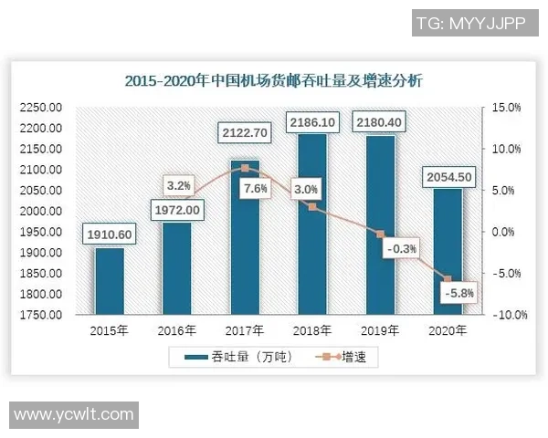 南京极限运动队的转型之路与未来发展趋势分析