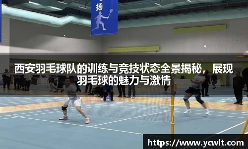 西安羽毛球队的训练与竞技状态全景揭秘，展现羽毛球的魅力与激情