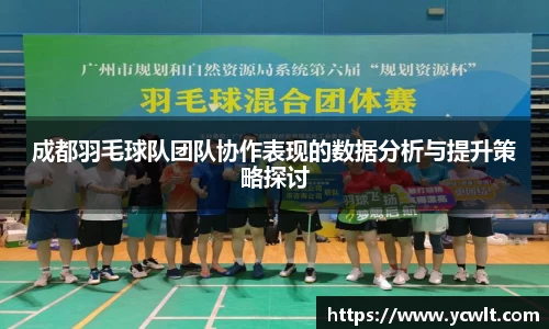 成都羽毛球队团队协作表现的数据分析与提升策略探讨