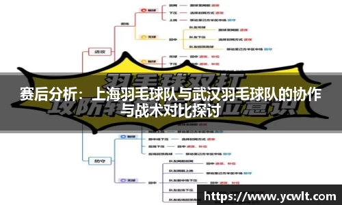 赛后分析：上海羽毛球队与武汉羽毛球队的协作与战术对比探讨