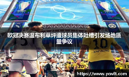欧冠决赛温布利草坪遭球员集体吐槽引发场地质量争议